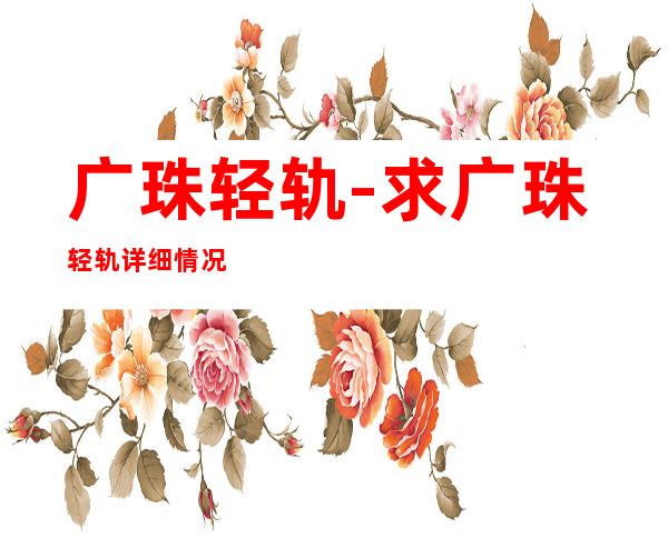 广珠轻轨-求广珠轻轨详细情况