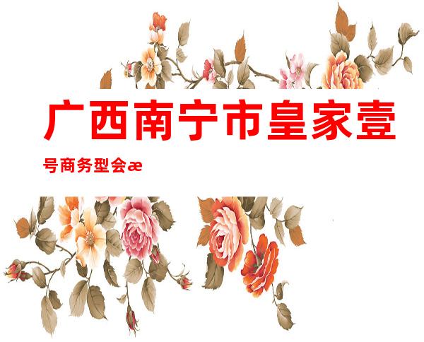 广西南宁市皇家壹号商务型会所ktv()