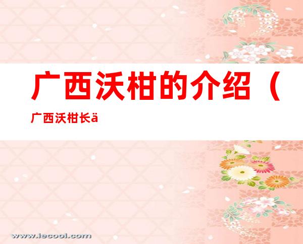 广西沃柑的介绍(广西沃柑长什么样)