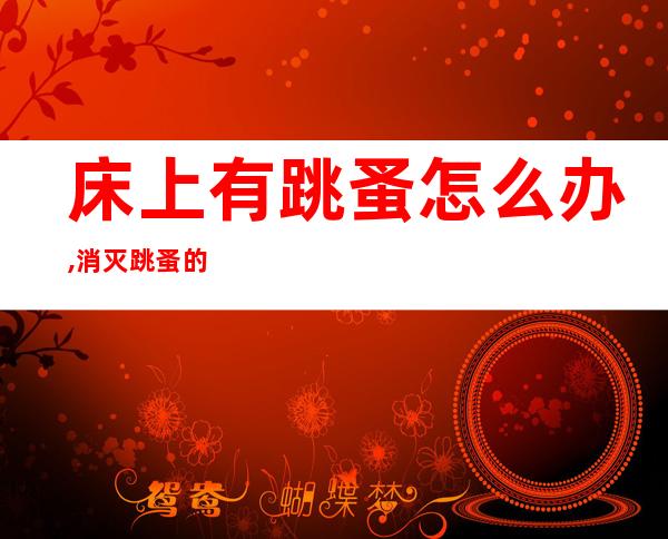 床上有跳蚤怎么办,消灭跳蚤的最佳方法(如何消灭床上跳蚤)