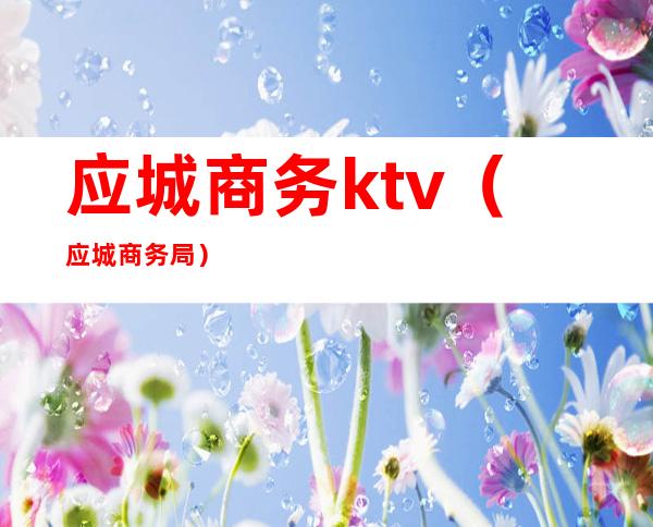应城商务ktv(应城商务局)
