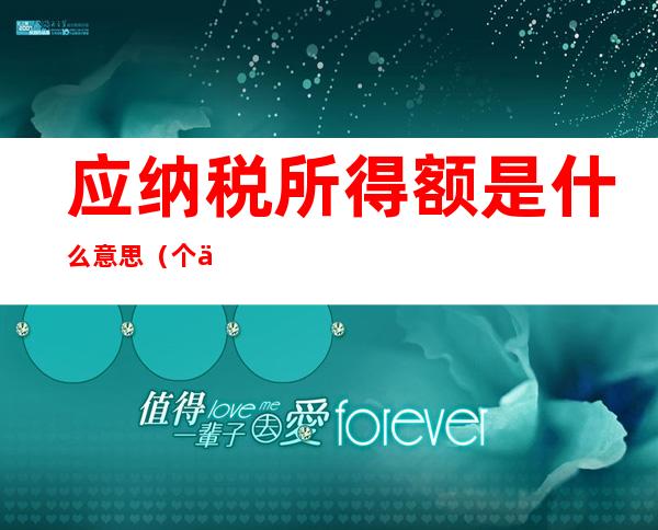 应纳税所得额是什么意思(个人应纳税所得额是什么意思)