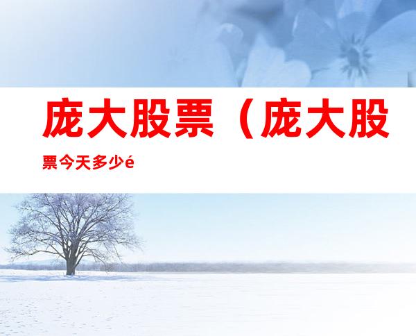 庞大股票(庞大股票今天多少钱一股)