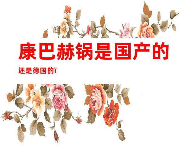 康巴赫锅是国产的还是德国的(网上买的康巴赫德国锅是真的吗)