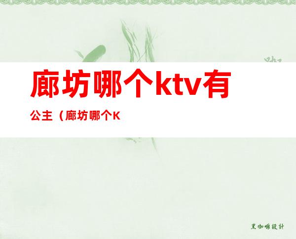 廊坊哪个ktv有公主(廊坊哪个KTV有公主)