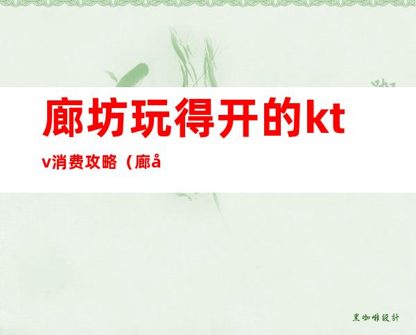 廊坊玩得开的ktv消费攻略(廊坊的ktv开门了吗)