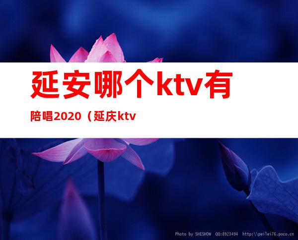 延安哪个ktv有陪唱2020(延庆ktv陪唱多少钱)