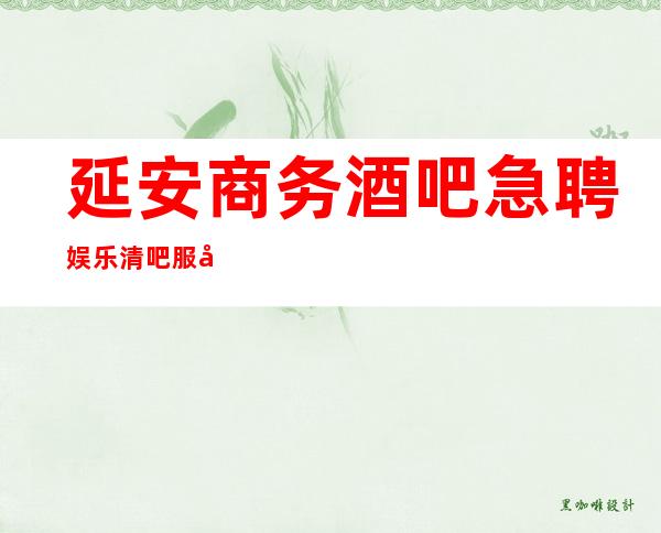 延安商务酒吧急聘娱乐清吧服务生-更高场所环境好