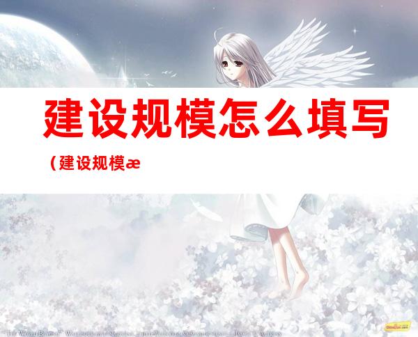 建设规模怎么填写(建设规模怎么填写写金额还是面积)