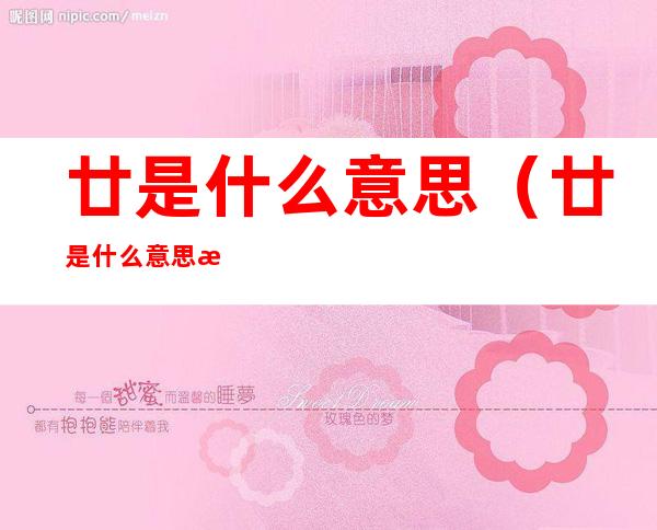 廿是什么意思(廿是什么意思怎么读)