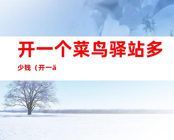 开一个菜鸟驿站多少钱(开一个菜鸟驿站需要多少钱?)