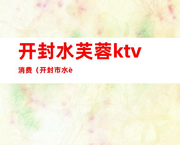 开封水芙蓉ktv消费(开封市水芙蓉KTv)