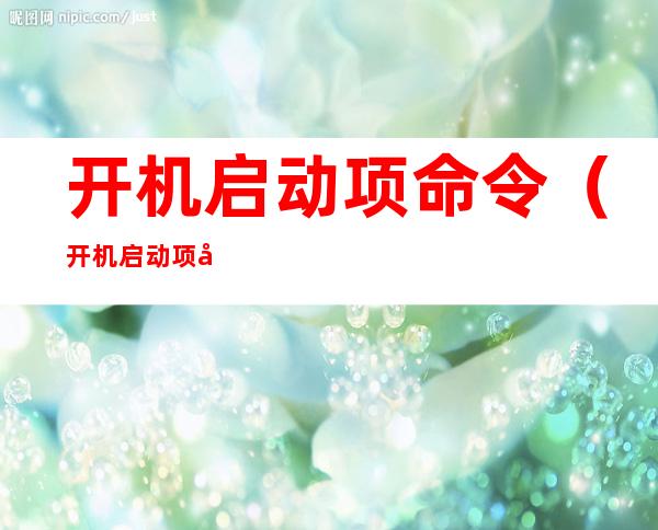 开机启动项命令(开机启动项命令怎么设置)