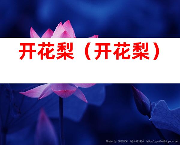 开花梨(开花梨)
