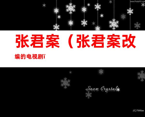 张君案（张君案改编的电视剧）