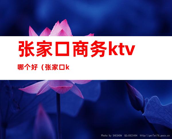 张家口商务ktv哪个好（张家口ktv排名）