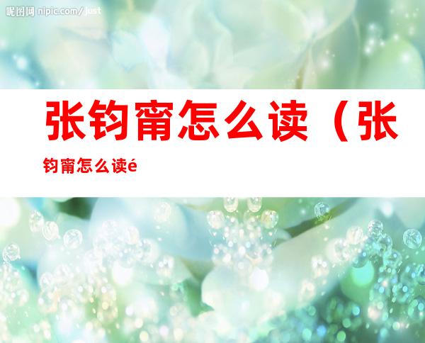 张钧甯怎么读(张钧甯怎么读音阚)