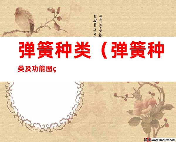 弹簧种类(弹簧种类及功能图片)
