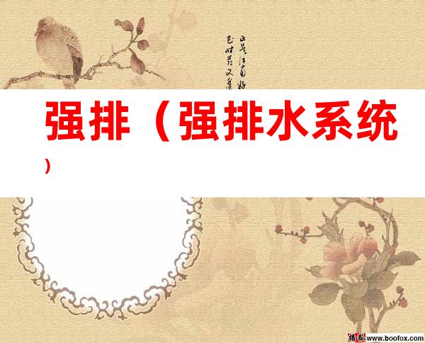 强排(强排水系统)