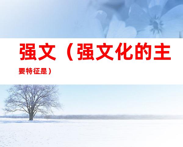 强文(强文化的主要特征是)