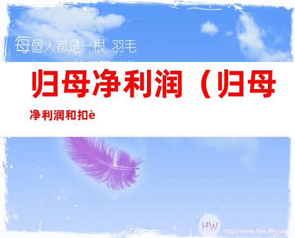 归母净利润(归母净利润和扣费净利润的区别)