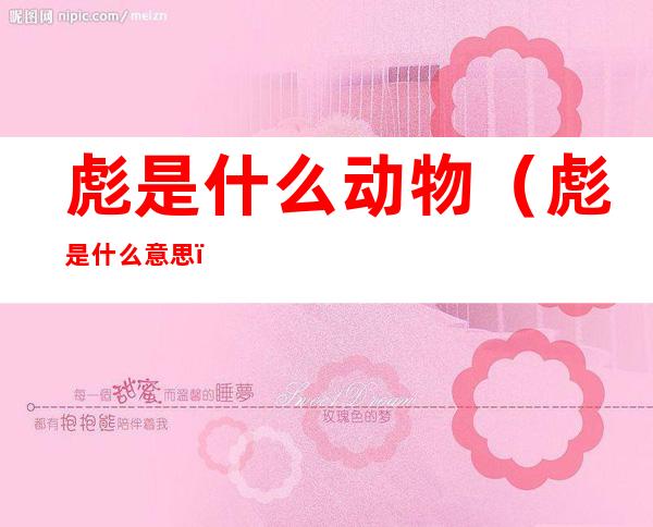 彪是什么动物（彪是什么意思）