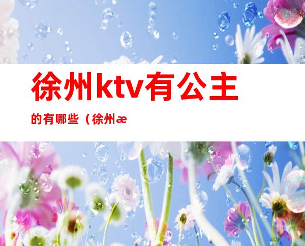 徐州ktv有公主的有哪些（徐州最好的商务ktv）