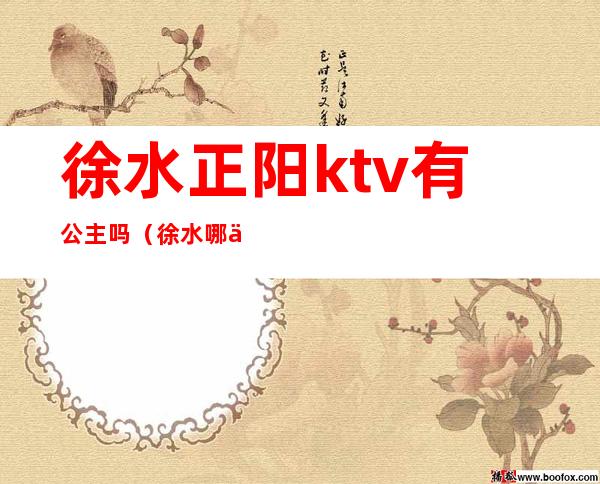 徐水正阳ktv有公主吗(徐水哪个ktv好玩)