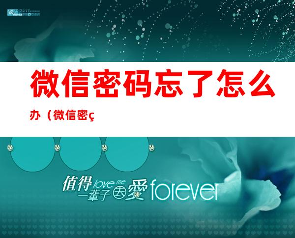 微信密码忘了怎么办(微信密码忘了怎么办不用验证码)