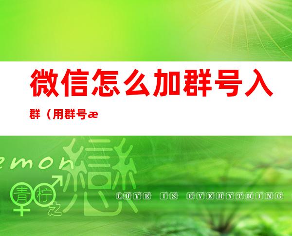 微信怎么加群号入群(用群号怎么加入微信群)