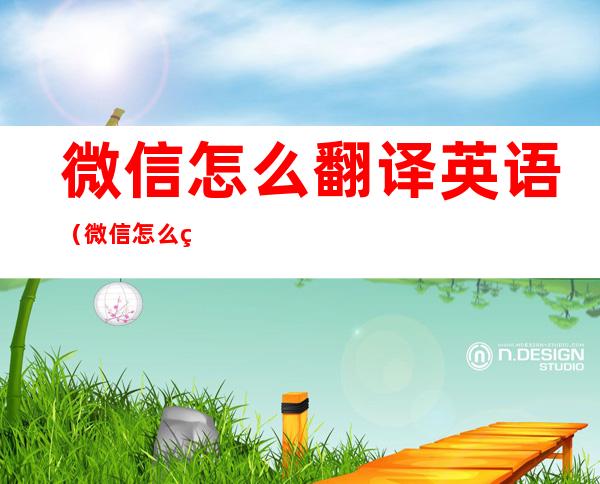 微信怎么翻译英语（微信怎么翻译英语图片）