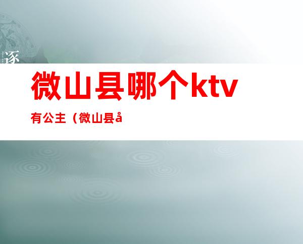 微山县哪个ktv有公主(微山县台北ktv电话号码)
