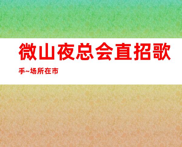 微山夜总会直招歌手~场所在市中心~多多高效收入