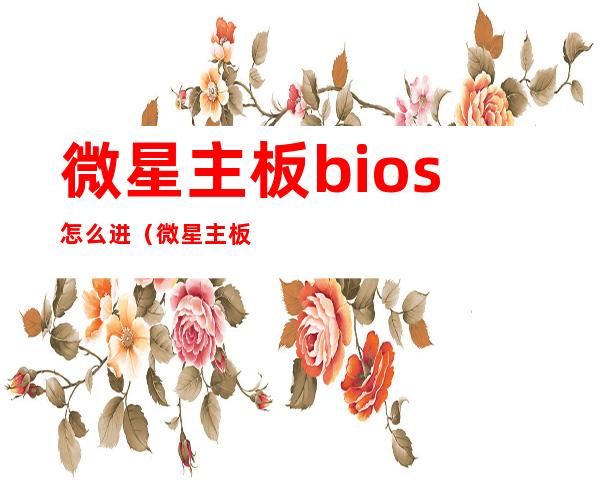 微星主板bios怎么进(微星主板bios怎么进入u盘启动)