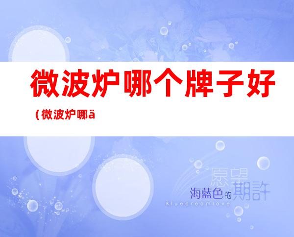 微波炉哪个牌子好(微波炉哪个牌子好 知乎)