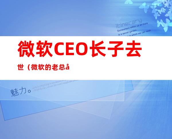 微软CEO长子去世(微软的老总创始人)