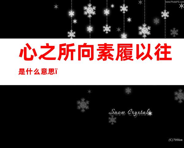 心之所向素履以往是什么意思(以心之所向,素履以往是什么意思)
