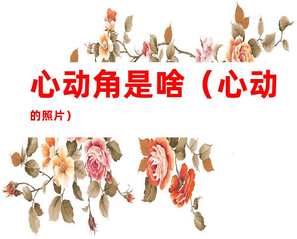 心动角是啥(心动的照片)