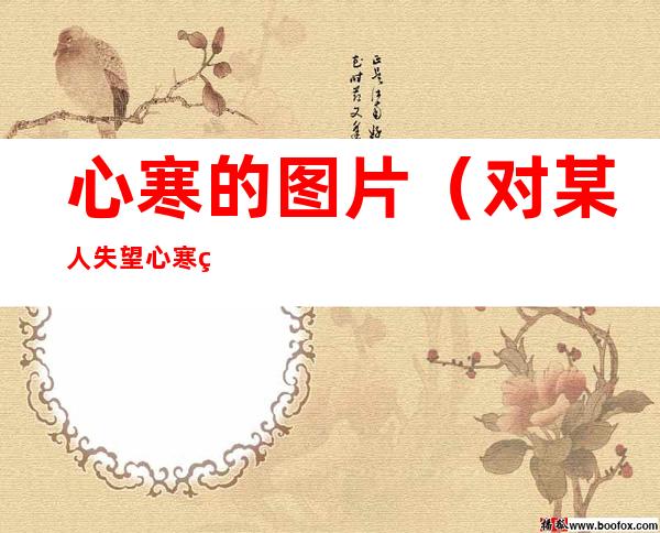 心寒的图片(对某人失望心寒的图片)