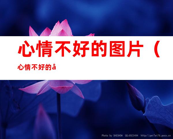 心情不好的图片(心情不好的图片带字)