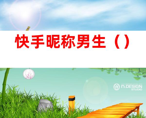快手昵称男生()
