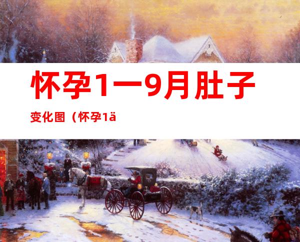 怀孕1一9月肚子变化图（怀孕1一9月肚子变化图真人）