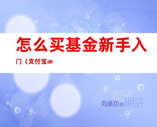 怎么买基金新手入门(支付宝怎么买基金新手入门)