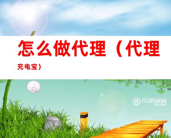 怎么做代理(代理充电宝)