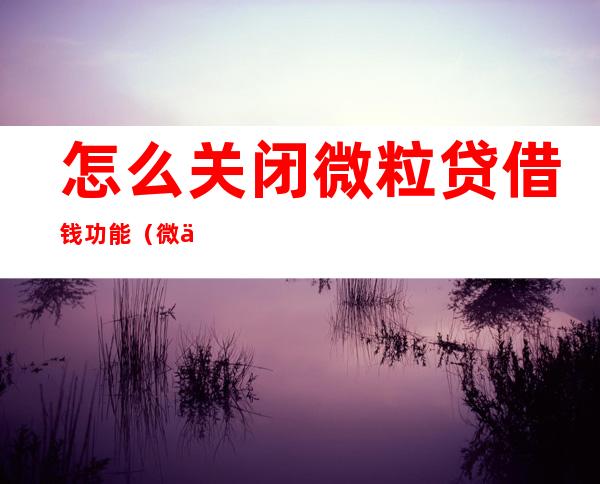 怎么关闭微粒贷借钱功能(微信微粒贷借钱功能怎么关闭)
