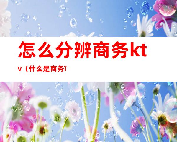 怎么分辨商务ktv(什么是商务)