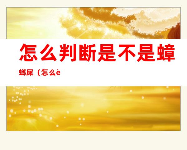 怎么判断是不是蟑螂屎(怎么辨别蟑螂屎)