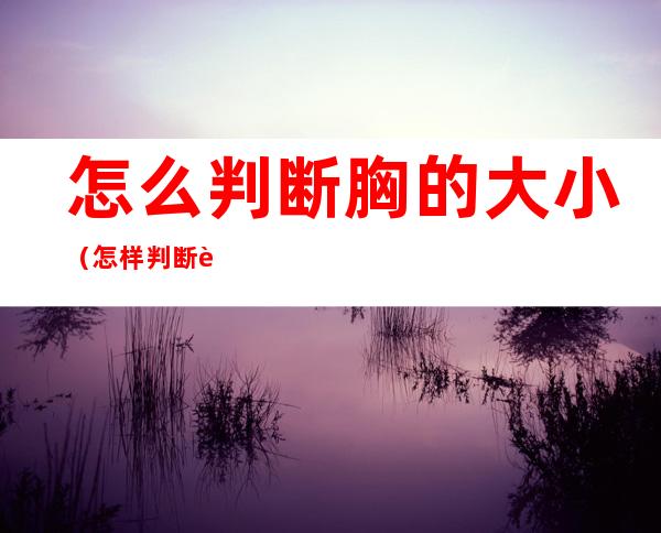 怎么判断胸的大小（怎样判断胸的大小）