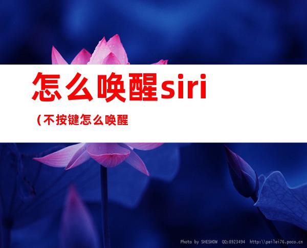 怎么唤醒siri(不按键怎么唤醒siri)