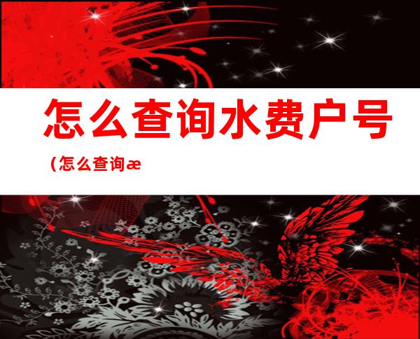 怎么查询水费户号(怎么查询水费户号历史缴费记录)